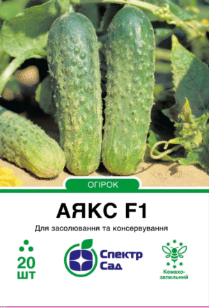 Аякс F1 СПЕКТР САД огірок