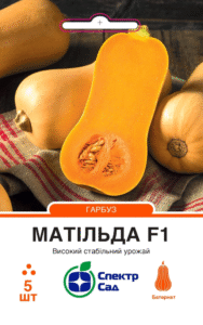 Матільда F1 5 шт. СПЕКТР САД гарбуз