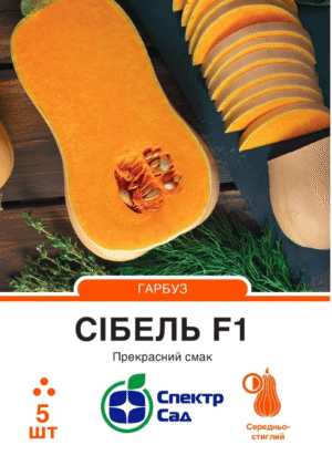 Сібель F1 5 шт. СПЕКТР САД гарбуз