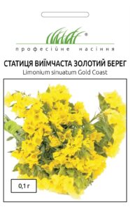 Статиця виїмчаста Золотий берег  0,1 г ПРОФЕСІЙНЕ НАСІННЯ