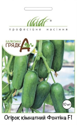 Кімнатний Фонтіна F1, 10 шт огірок ПРОФЕСІЙНЕ НАСІННЯ