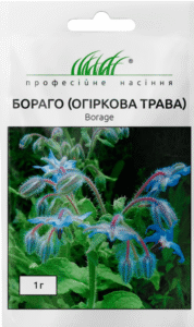 Бораго Огіркова трава 1 г. ПРОФЕСІЙНЕ НАСІННЯ