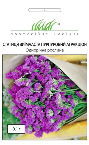 Статиця виїмчаста Пурпуровий атракціон 0,3г. ПРОФЕСІЙНЕ НАСІННЯ