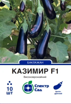 Казимир F1 10 шт. СПЕКТР САД баклажан