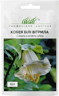 Кобея Білі Вітрила 0,3 г. ПРОФЕСІЙНЕ НАСІННЯ
