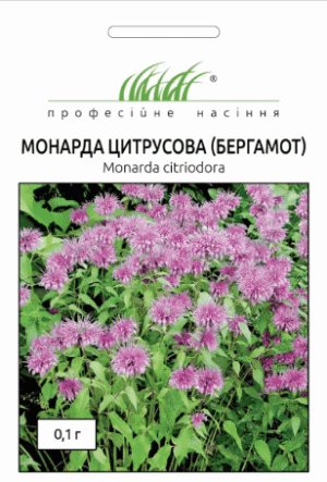 Монарда бергамот 0,1 г. ПРОФЕСІЙНЕ НАСІННЯ