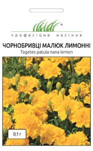 Чорнобривці розлогі Малюк лимонні 0,1 г. ПРОФЕСІЙНЕ НАСІННЯ