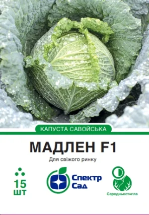 Мадлен F1 15 шт. СПЕКТР САД капуста савойська