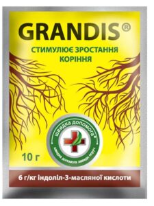 Грандіс Швидка Допомога