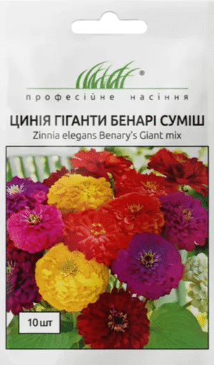 Цинія  Гіганти Бенарі суміш 10 шт  Професійне насіння