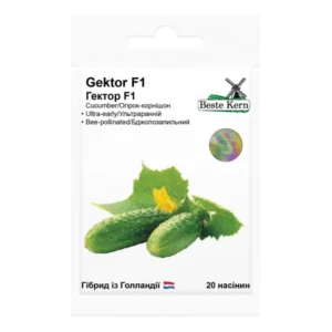 Гектор F1 20шт. Beste Kern огірок