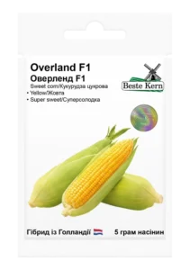 Оверленд F1 5г. Beste Kern кукурудза