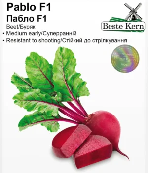 Пабло F1 3г. Beste Kern буряк
