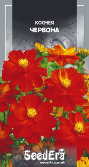 Космея червона 0.5 г. Seedera