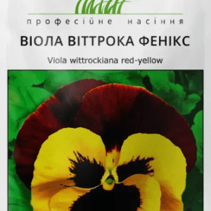 Віола віттрока Фенікс, 20 шт Професійне насіння
