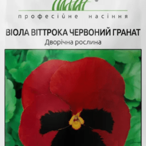 Віола віттрока Червоний гранат, 20 шт Професійне насіння