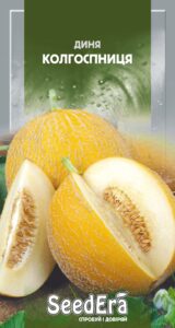 Колгоспниця 2 г. Seedera диня
