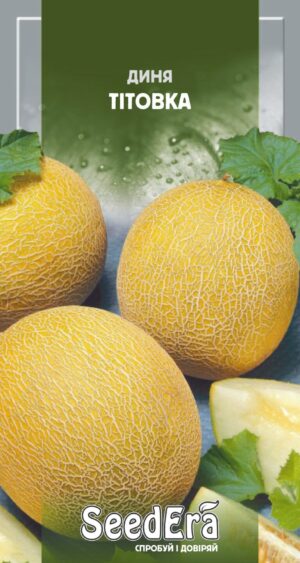 Тітовка 2 г. Seedera диня