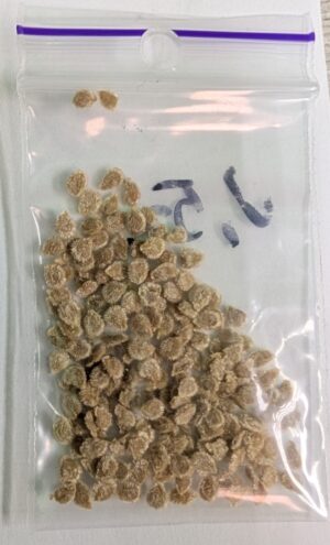 НАША Сливка засолочна 0.5г.