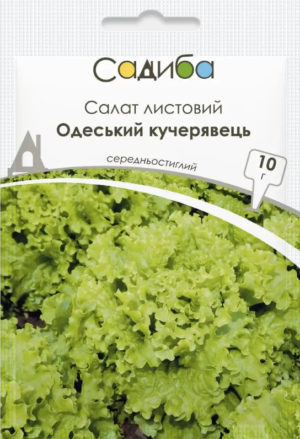 Салат листовий Одеський кучерявець, 10 г  Садиба