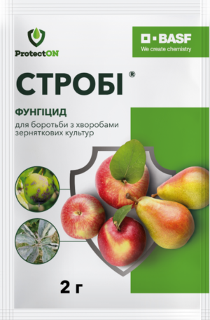 Фунгіцид Стробі 2 г, ProtectON